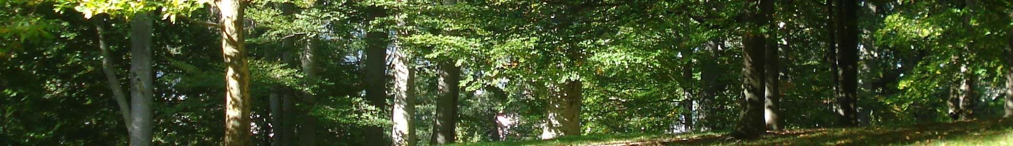 不本意待ち惚け改善計画